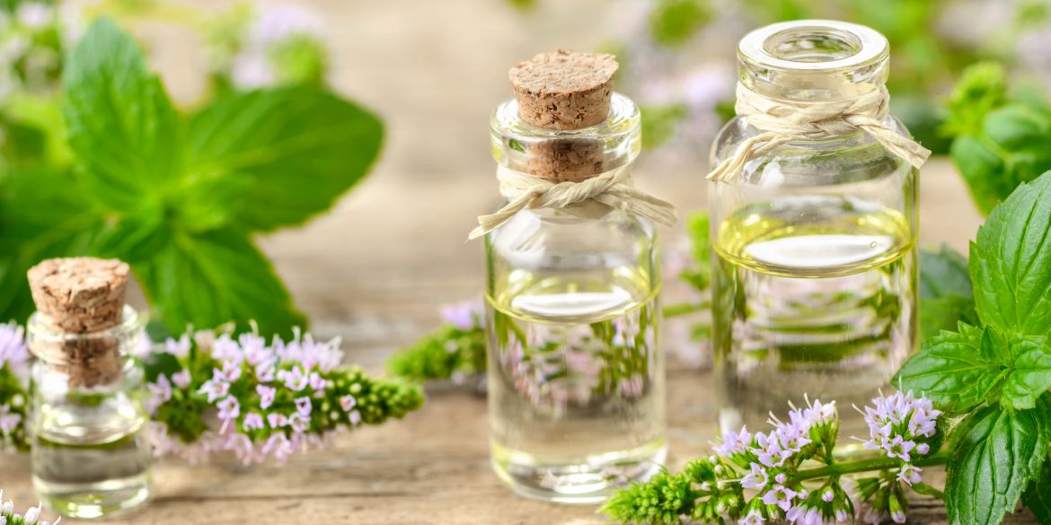 Huile Essentielle de Menthe Poivrée Fréquentielle – Rafraîchissante, énergisante, clarifiante