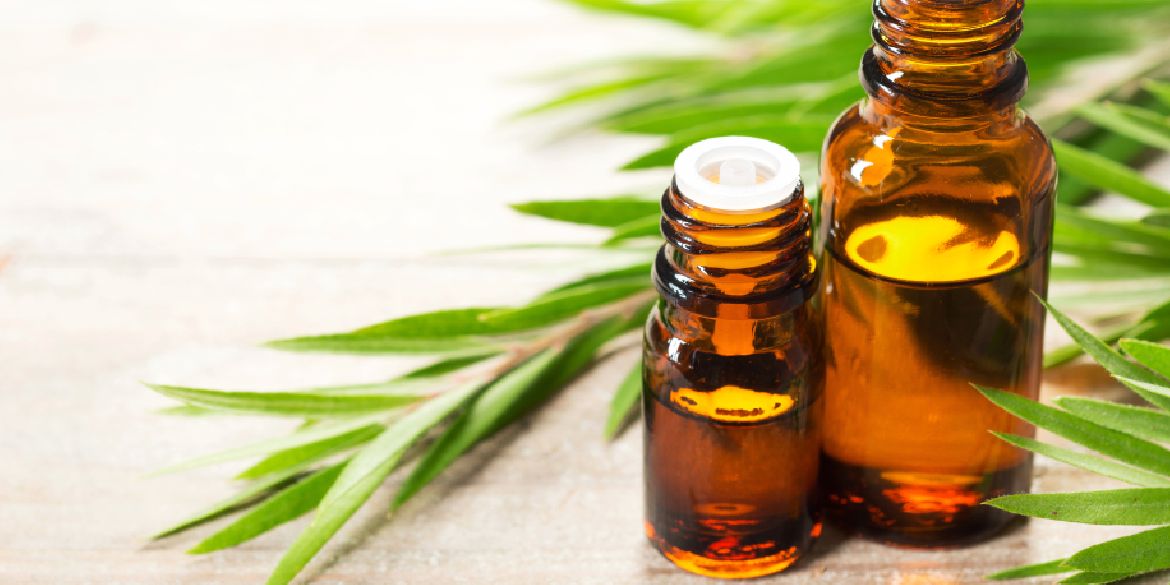 Huile Essentielle d’Arbre à Thé Fréquentielle – Purifiante, protectrice, clarifiante