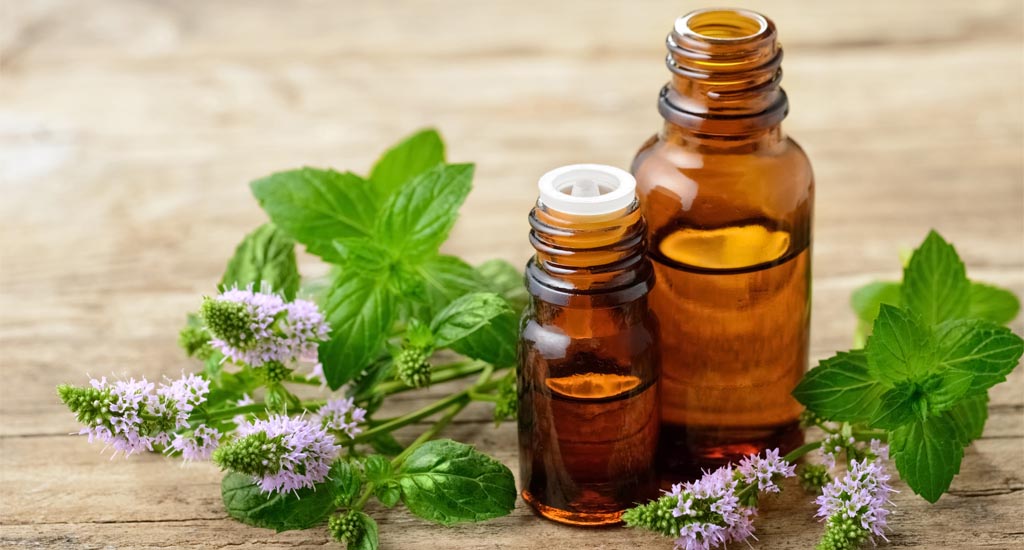 Huile Essentielle de Menthe Poivrée Fréquentielle – Rafraîchissante, énergisante, clarifiante